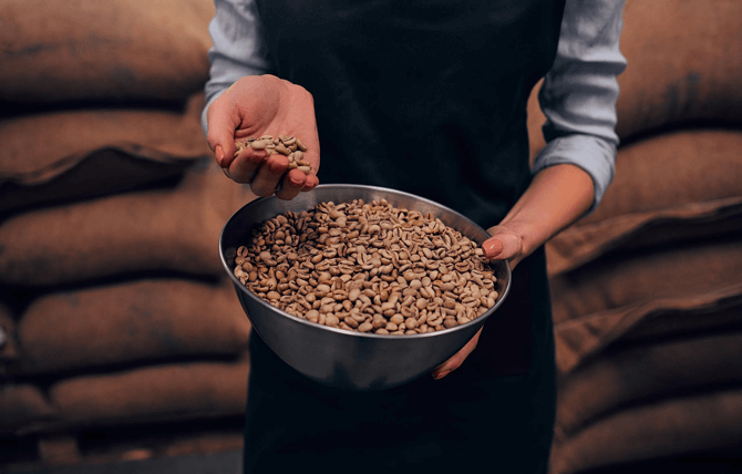 How to Choose The Best Coffee Bean Wholesale Supplier