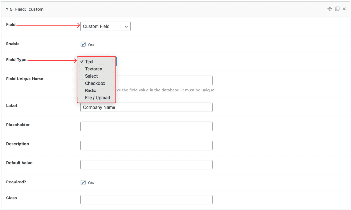 Custom Field Type